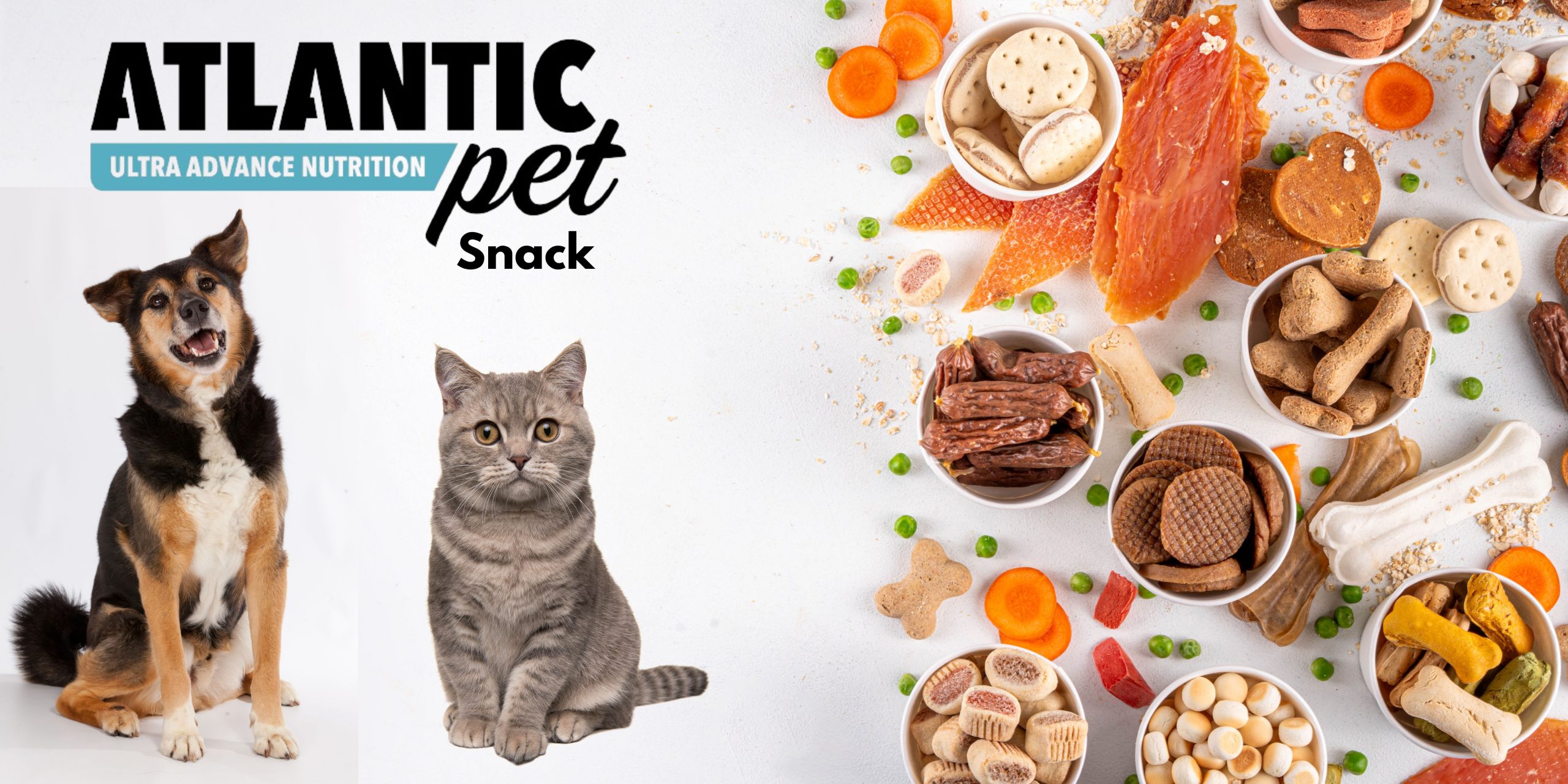 Snacks Saludables para Perros: Beneficios y Cómo Elegir los Mejores